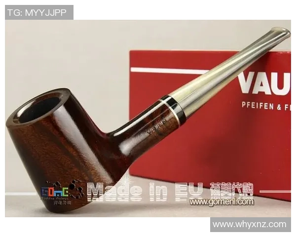 德国足球明星凯文的辉煌历程与未来展望分析